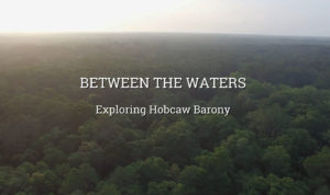 Between the Waters