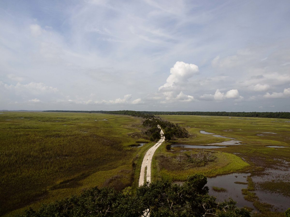 Hobcaw Barony